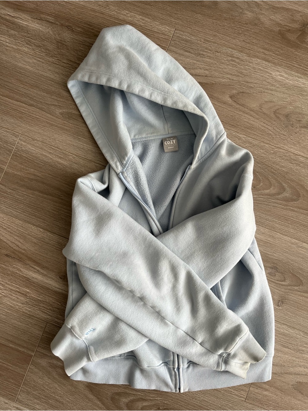 ARITZIA Cozy Brand Light Blue Zip-Up Hoodie